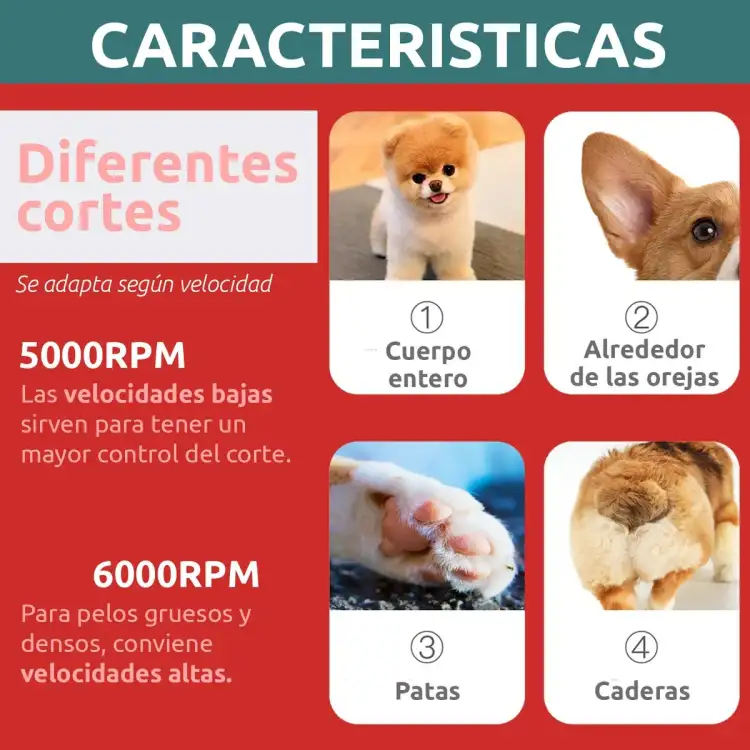 VGR في جي ار ماكينة حلاقة احترافية V-216  للحيوانات الاليفة