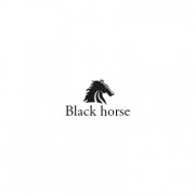 BLACL HORSE