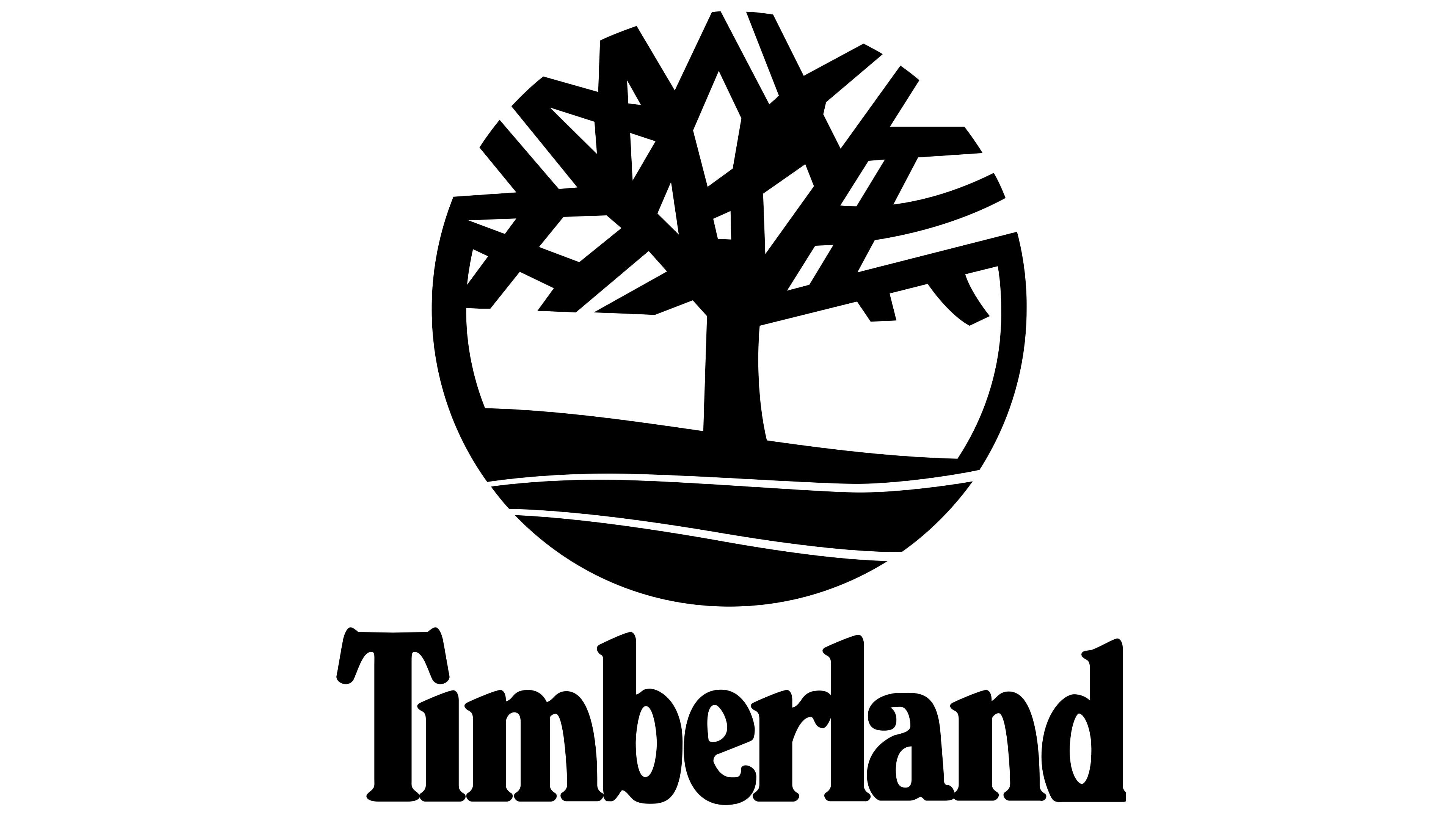 تمبرلاند