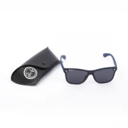 نظارة شمسية مستقطبة من راي بان للرجال - أسود